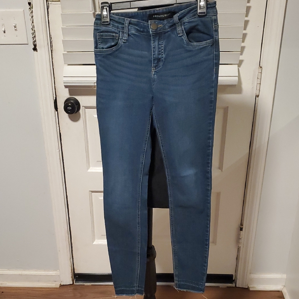 Prosperity Women's Classic Blue Skinny Jeans